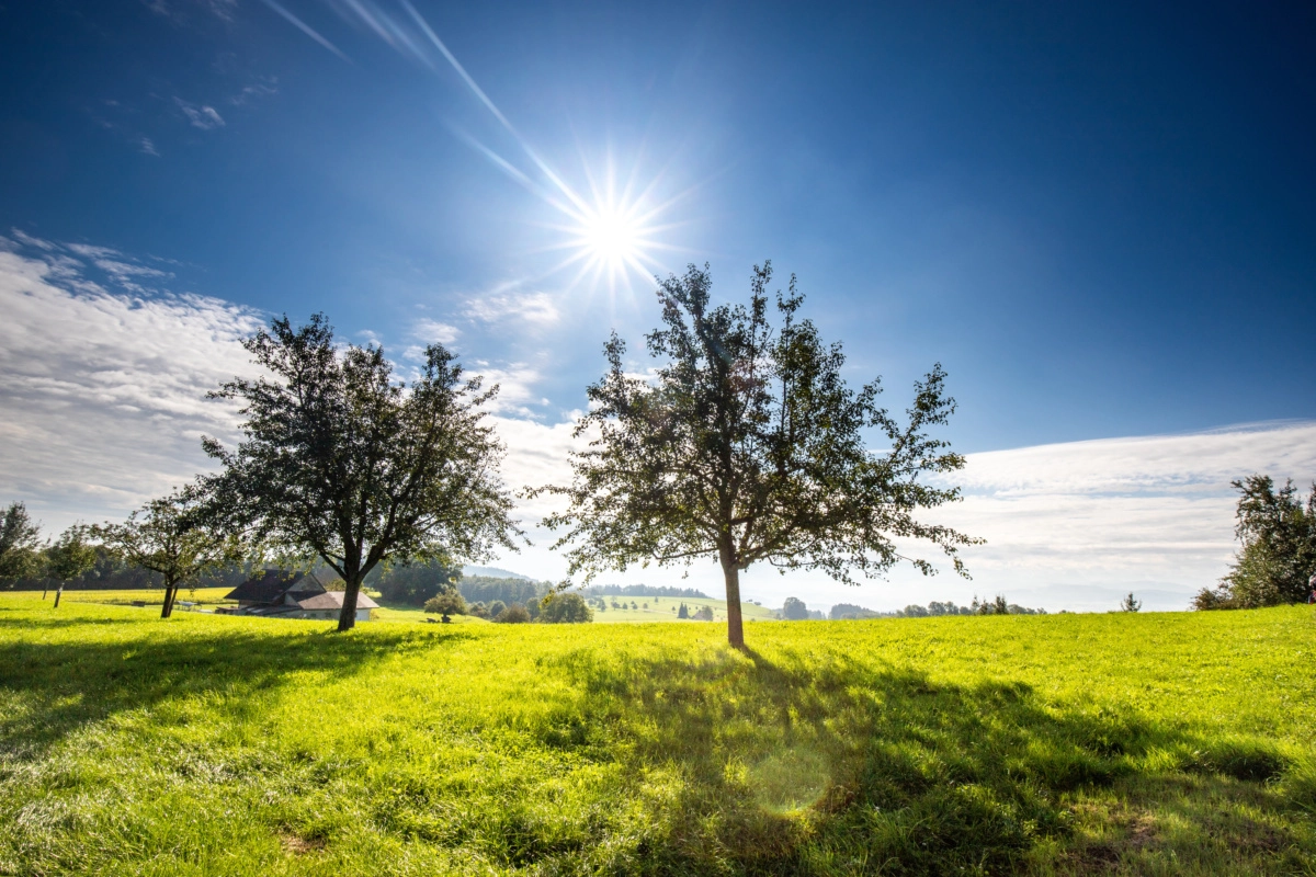 adobestock_456869143-785.jpeg