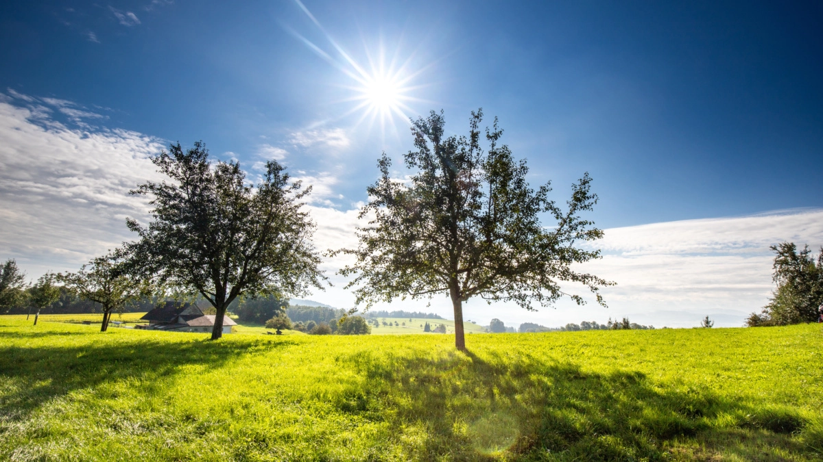 adobestock_456869143-785.jpeg