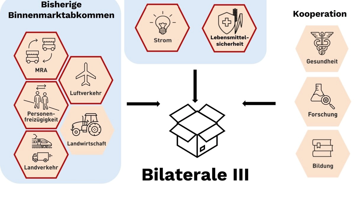 bilaterale-iii-1-478.jpg